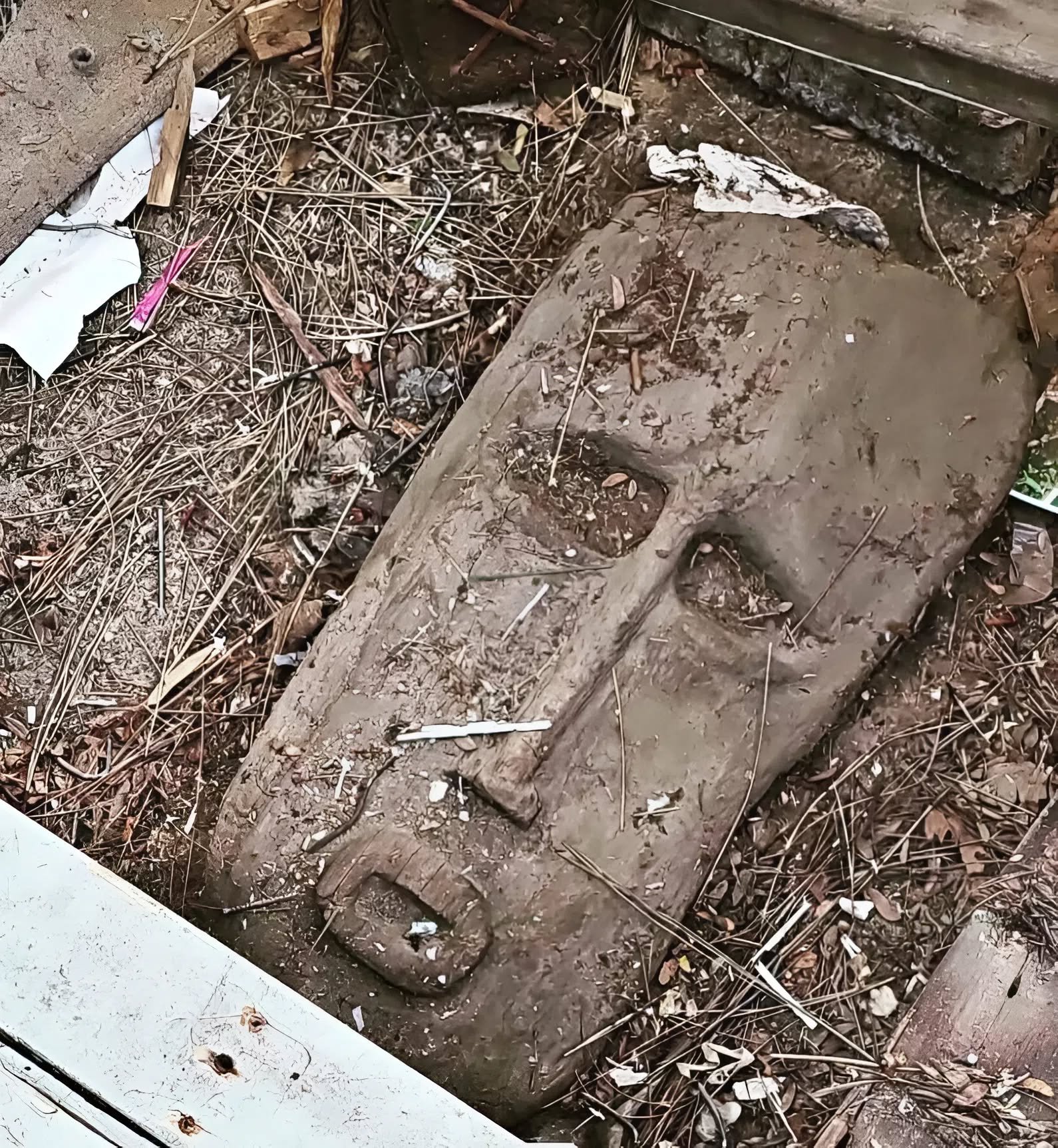 Dans la cour de notre nouvelle maison, j’ai remarqué quelque chose de vraiment effrayant et j’ai cru que c’était un visage humain : mais ensuite j’ai compris ce que c’était Dans la cour de notre nouvelle maison, j’ai remarqué quelque chose de vraiment effrayant et j’ai cru que c’était un visage humain : mais ensuite j’ai compris ce que c’était