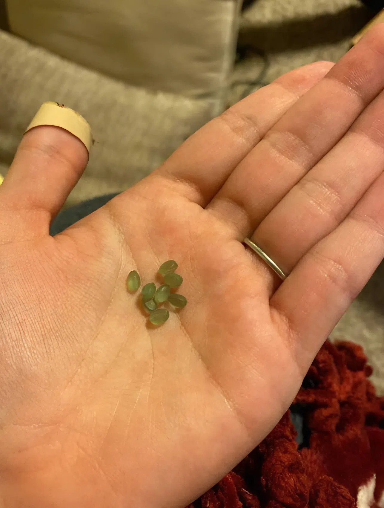 J’ai acheté du papier toilette, et à l’intérieur, il y avait de petites billes vertes : quelqu’un sait ce que c’est ?