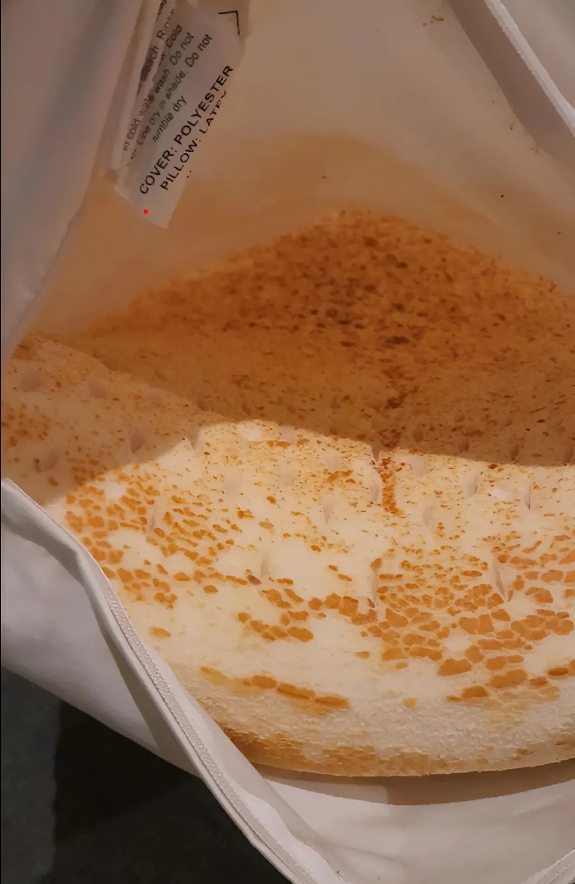 J’ai senti des petites bosses étranges dans l’oreiller, j’ai ouvert la taie, jeté un œil à l’intérieur, et j’y ai trouvé quelque chose de totalement inattendu J’ai senti des petites bosses étranges dans l’oreiller, j’ai ouvert la taie, jeté un œil à l’intérieur, et j’y ai trouvé quelque chose de totalement inattendu