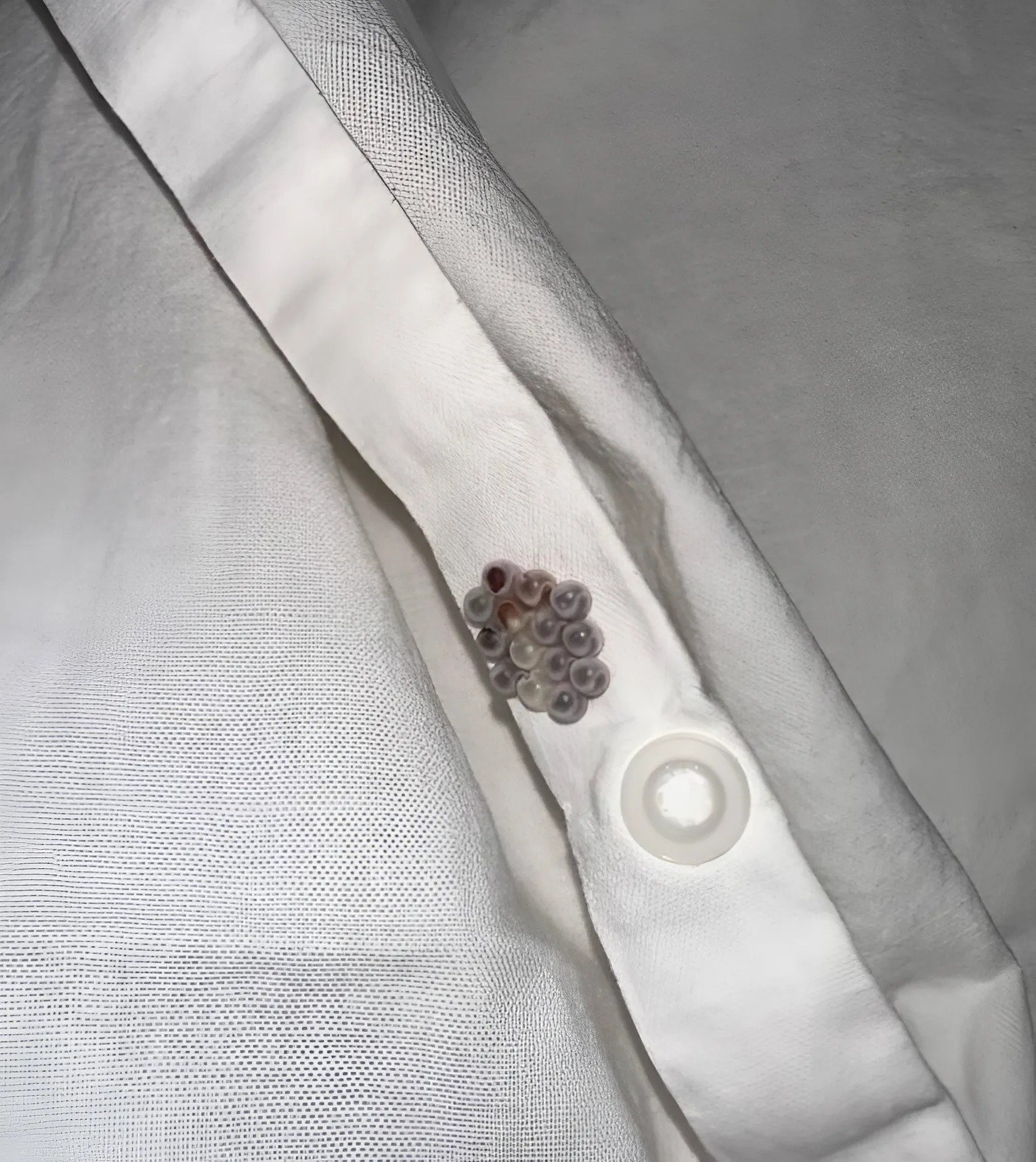 J’ai trouvé ces petites billes dans mon lit et j’ai failli faire une crise cardiaque : je vous explique ce que c’était J’ai trouvé ces petites billes dans mon lit et j’ai failli faire une crise cardiaque : je vous explique ce que c’était