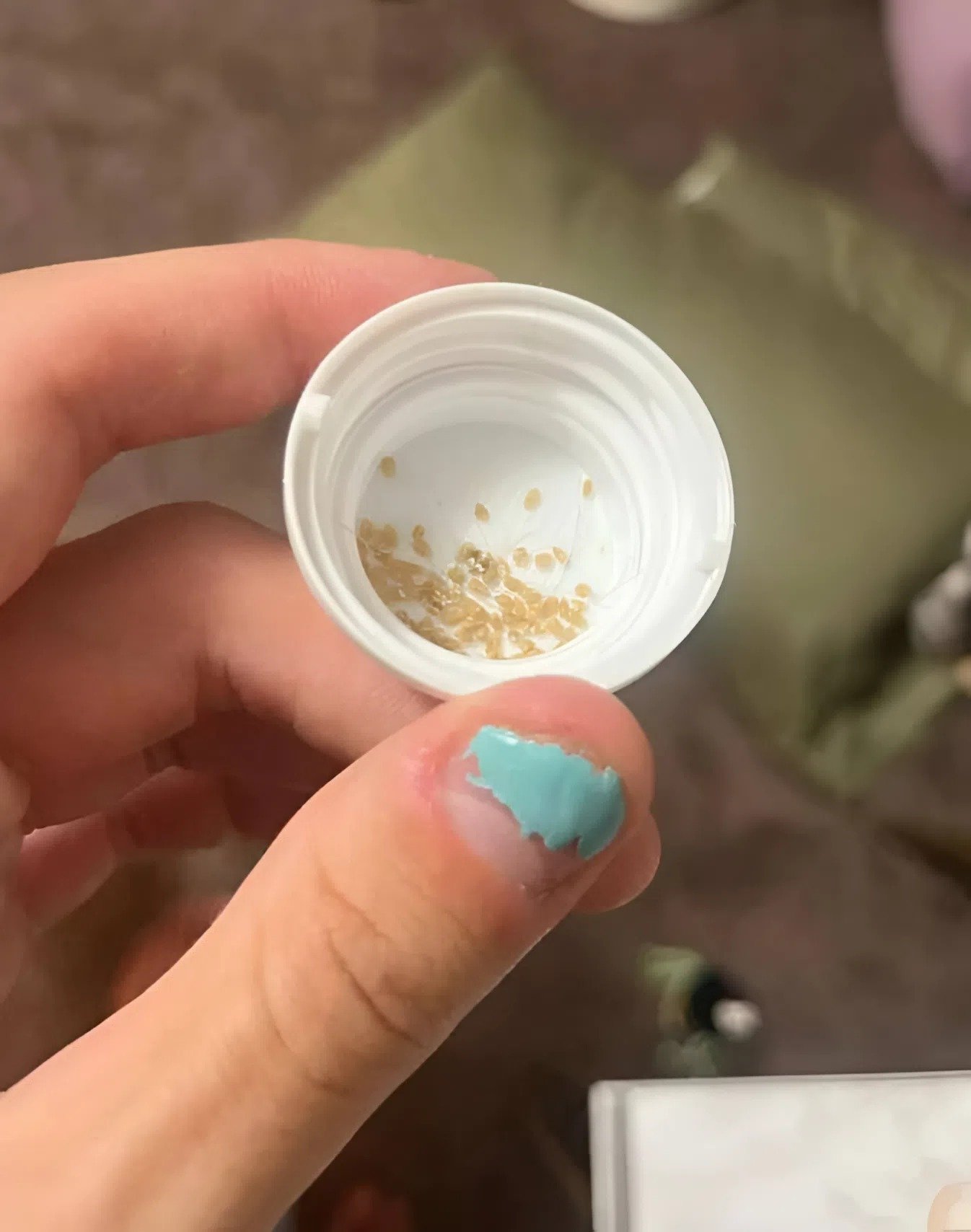 J’ai trouvé ça sur mon lit, mélangé avec les poils de mes chats : j’ai été horrifiée en comprenant ce que c’était et je suis allée immédiatement à l’hôpital