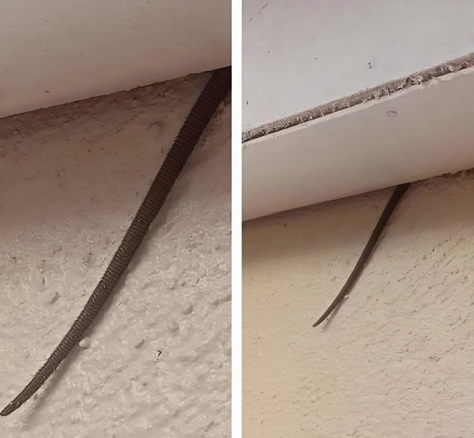 Un homme a remarqué quelque chose de très étrange qui dépassait du plafond – il a été horrifié en découvrant ce que c’était