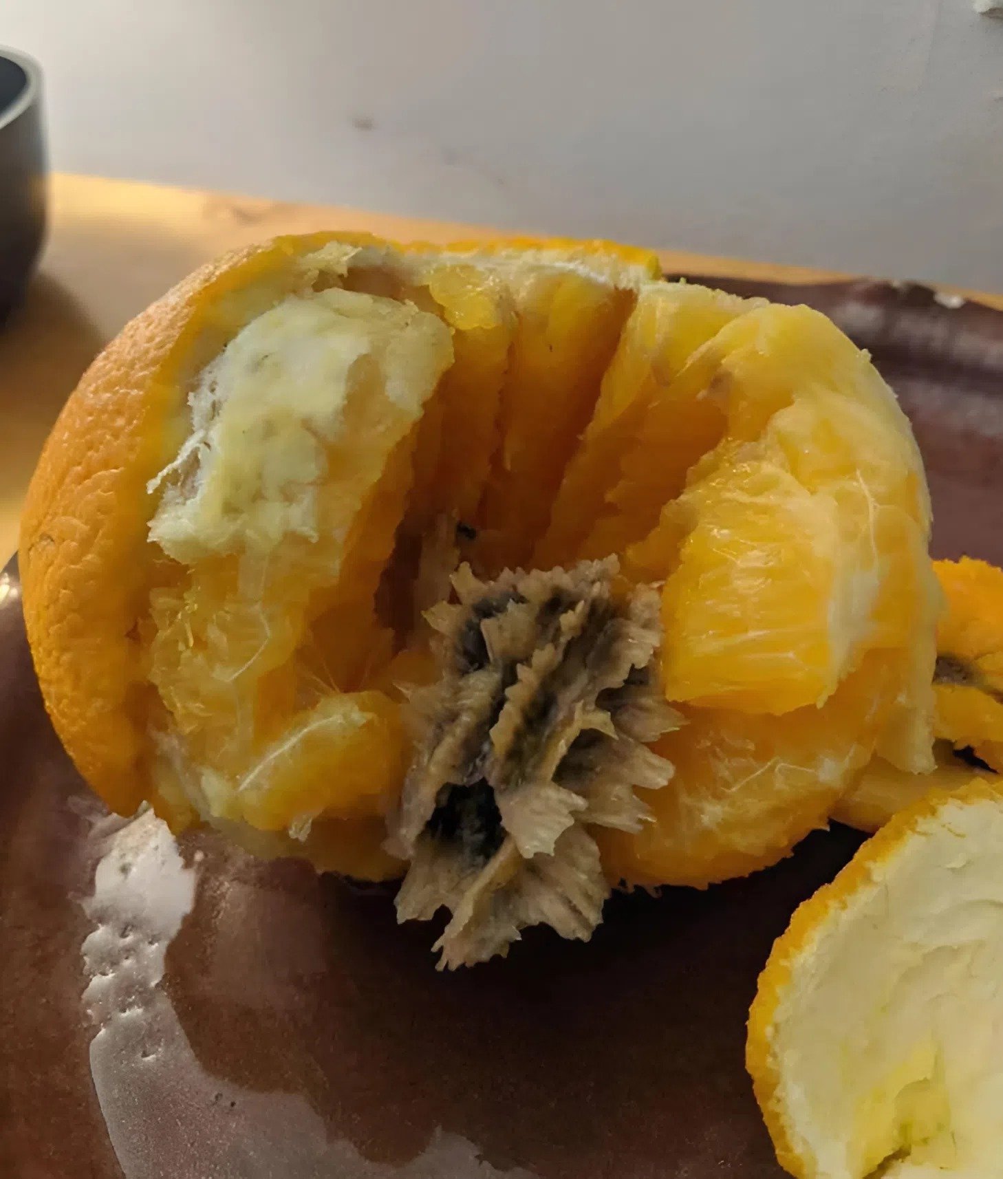J’ai épluché une orange et j’y ai trouvé quelque chose d’étrange : quand j’ai compris ce que c’était, j’ai été horrifiée 