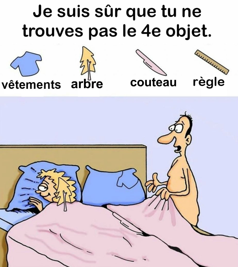 Trouvez des vêtements, un arbre, un couteau et une règle.