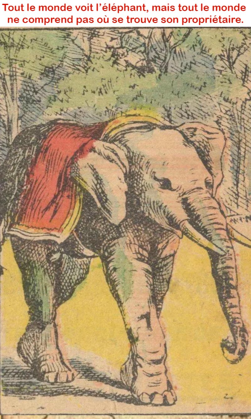Tout le monde voit l’éléphant, mais tout le monde ne comprend pas où se trouve son propriétaire.