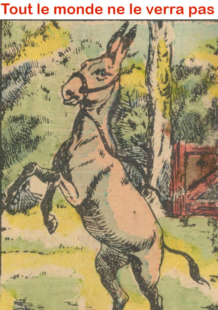 Outre l’âne, il y a aussi son propriétaire sur la photo, mais tout le monde ne le verra pas.