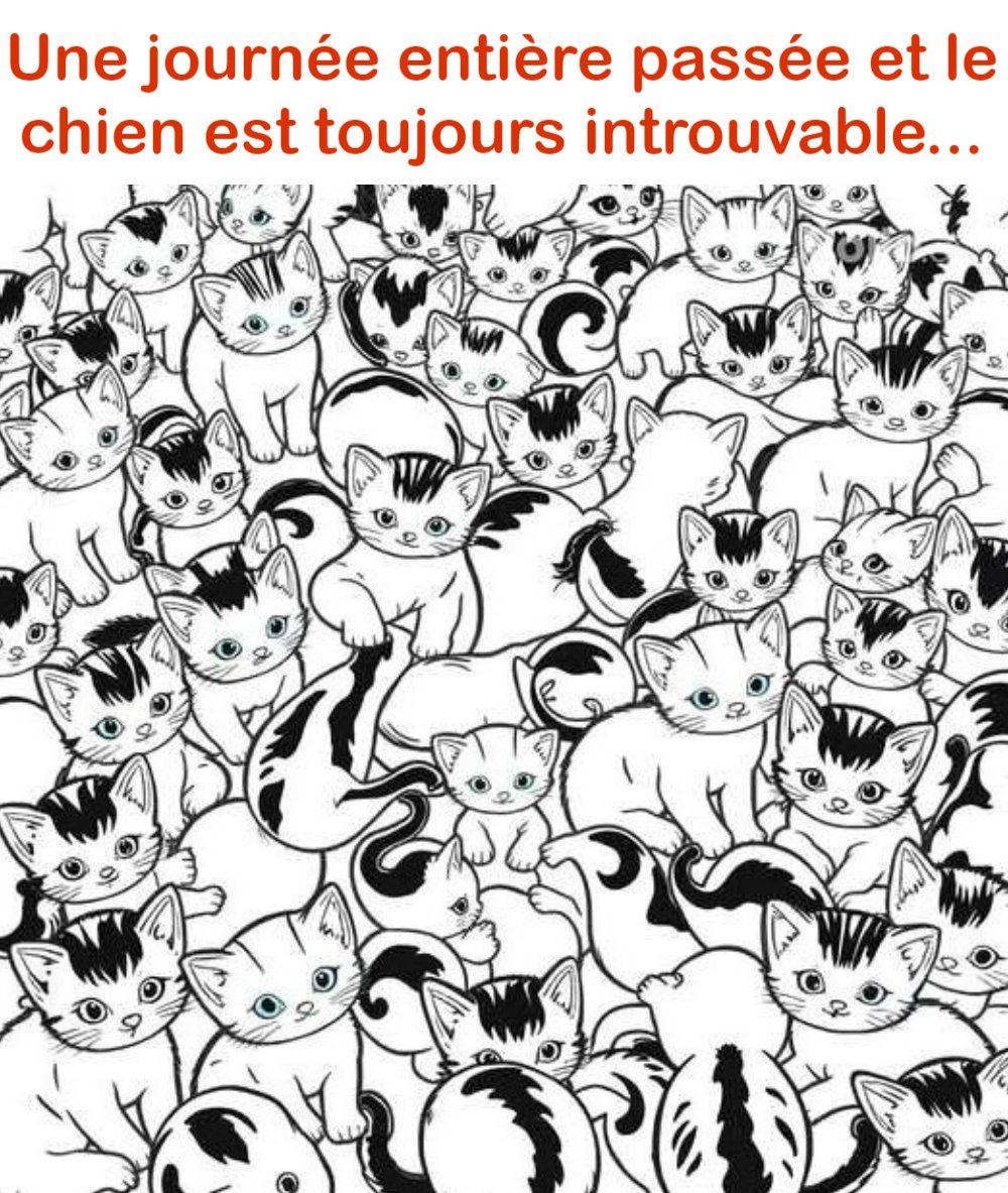 Pouvez-vous repérer le chien en 30 secondes ?