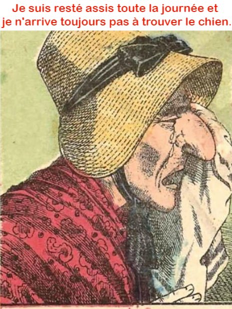 Il y a un chien caché sur la photo, le voyez-vous ?