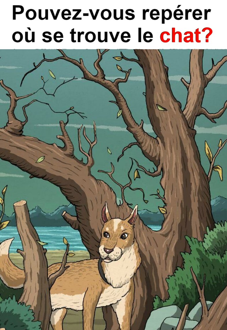 Avez-vous trouvé le chat ? Sinon, voyez la réponse.