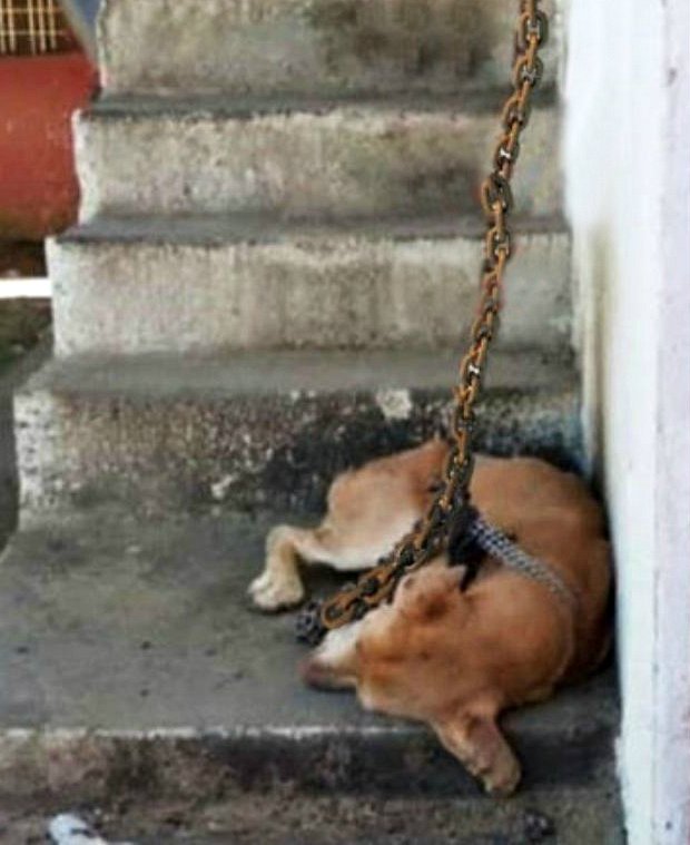 Je me suis accidentellement tourné dans une cour étroite