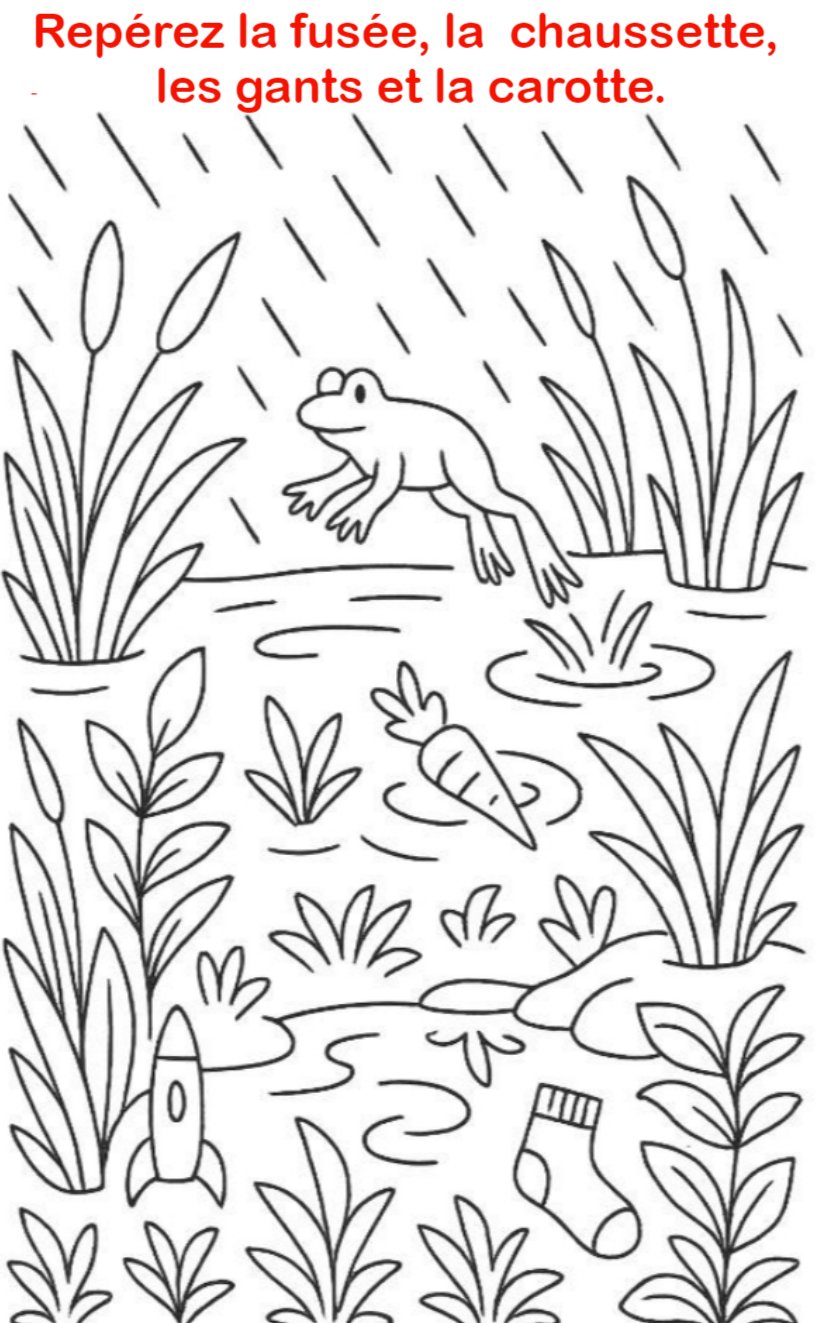 Seules les personnes ayant un QI de 145 peuvent repérer la fusée, la chaussette, les gants et la carotte.
