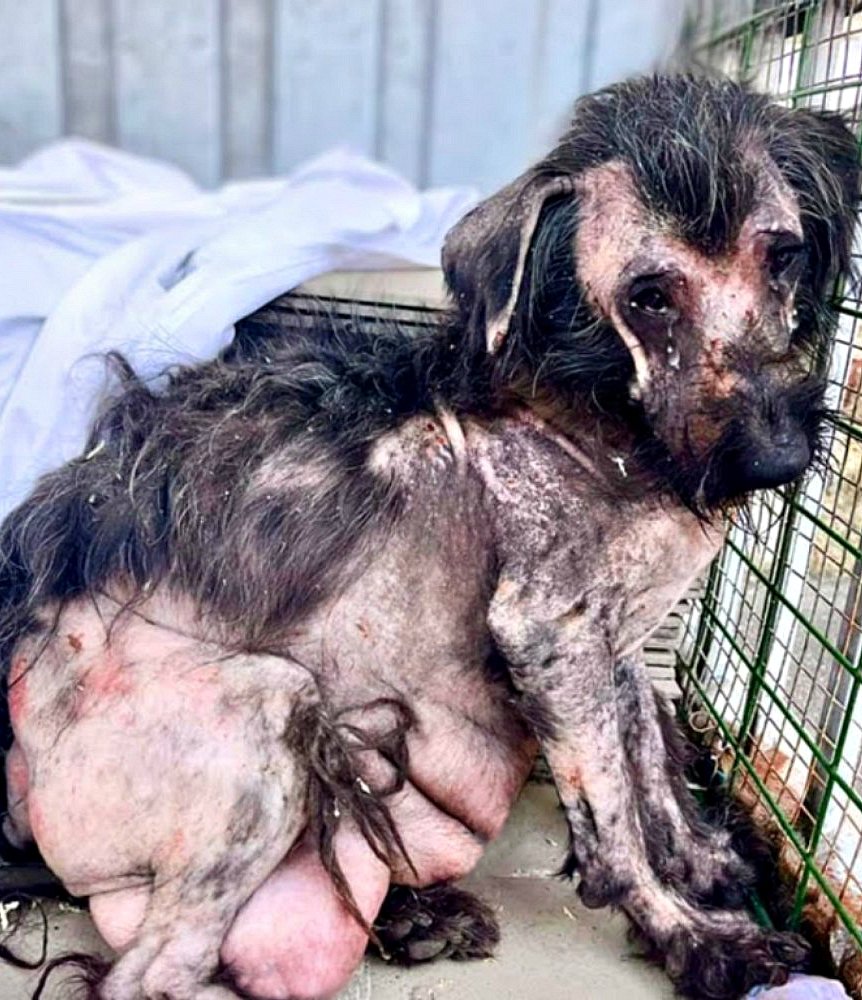 Donne m’en un peu plus… mon fils attend