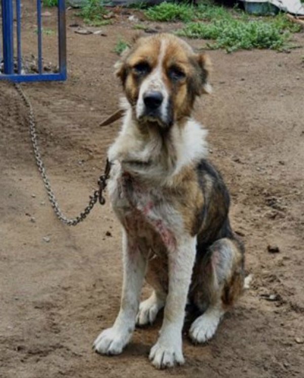 Pour quoi faire ? Pourquoi ? Quand est-ce que ça va finir ?