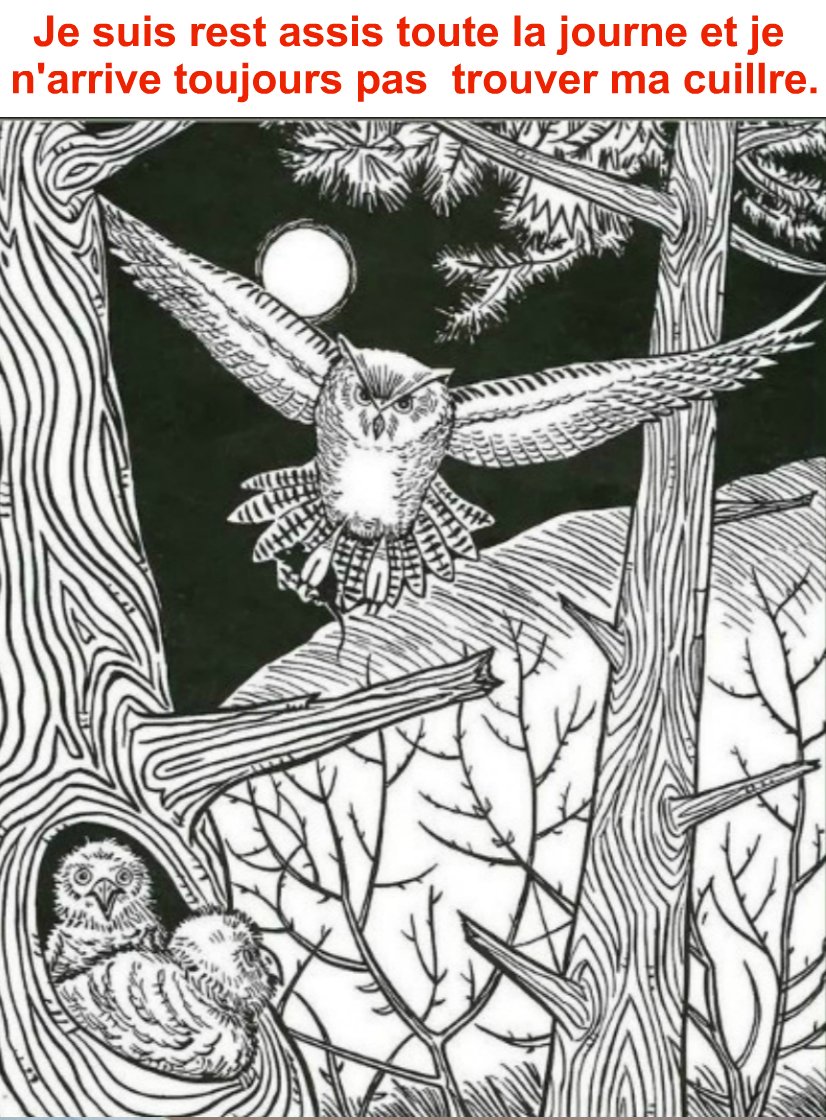 Je suis resté assis toute la journée et je n’arrive toujours pas à trouver la cuillère.