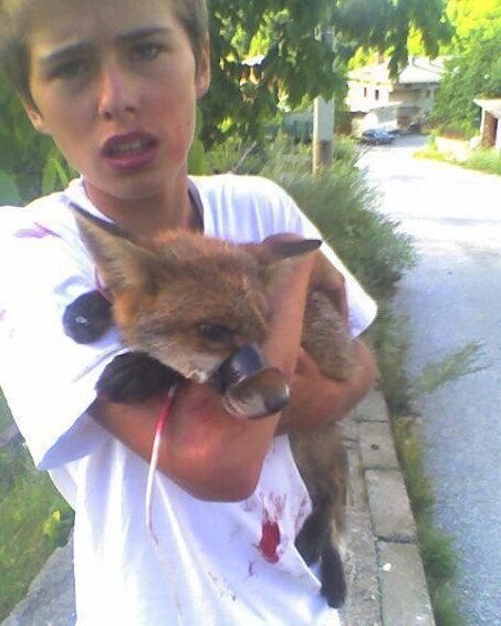 Pourquoi vous devez connaître l’incroyable sauvetage du renard par Luke Rowle