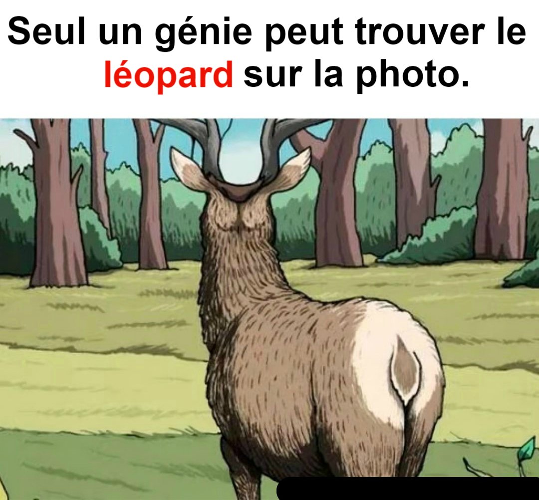 Trouvez le léopard sur l’image