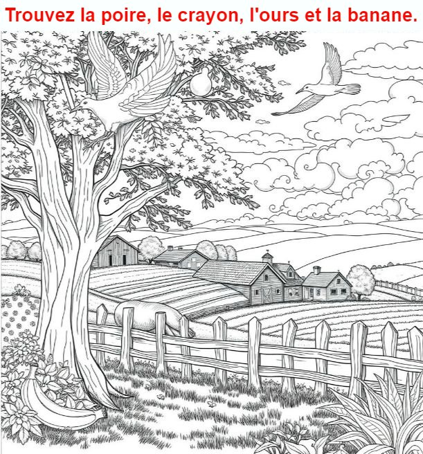Trouvez la poire, le crayon, l’ours et la banane.