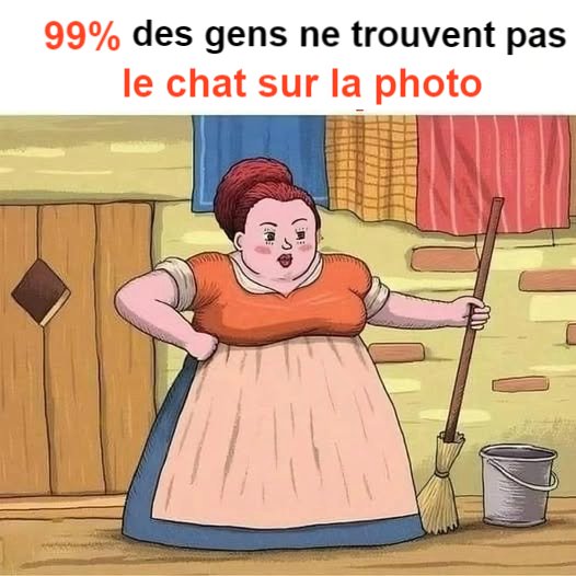 99 % des gens ne trouvent pas le chat sur la photo