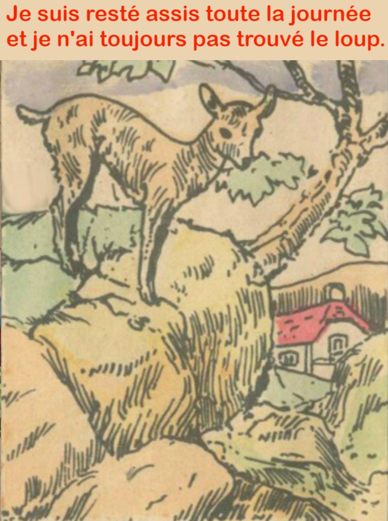 Je suis resté assis toute la journée et je n’ai toujours pas trouvé le loup.