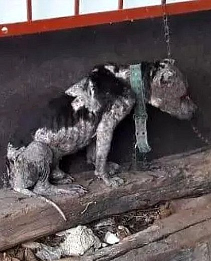 Il croyait que nous étions proches, que nous reviendrions. Il croyait que nous étions proches, que nous reviendrions.