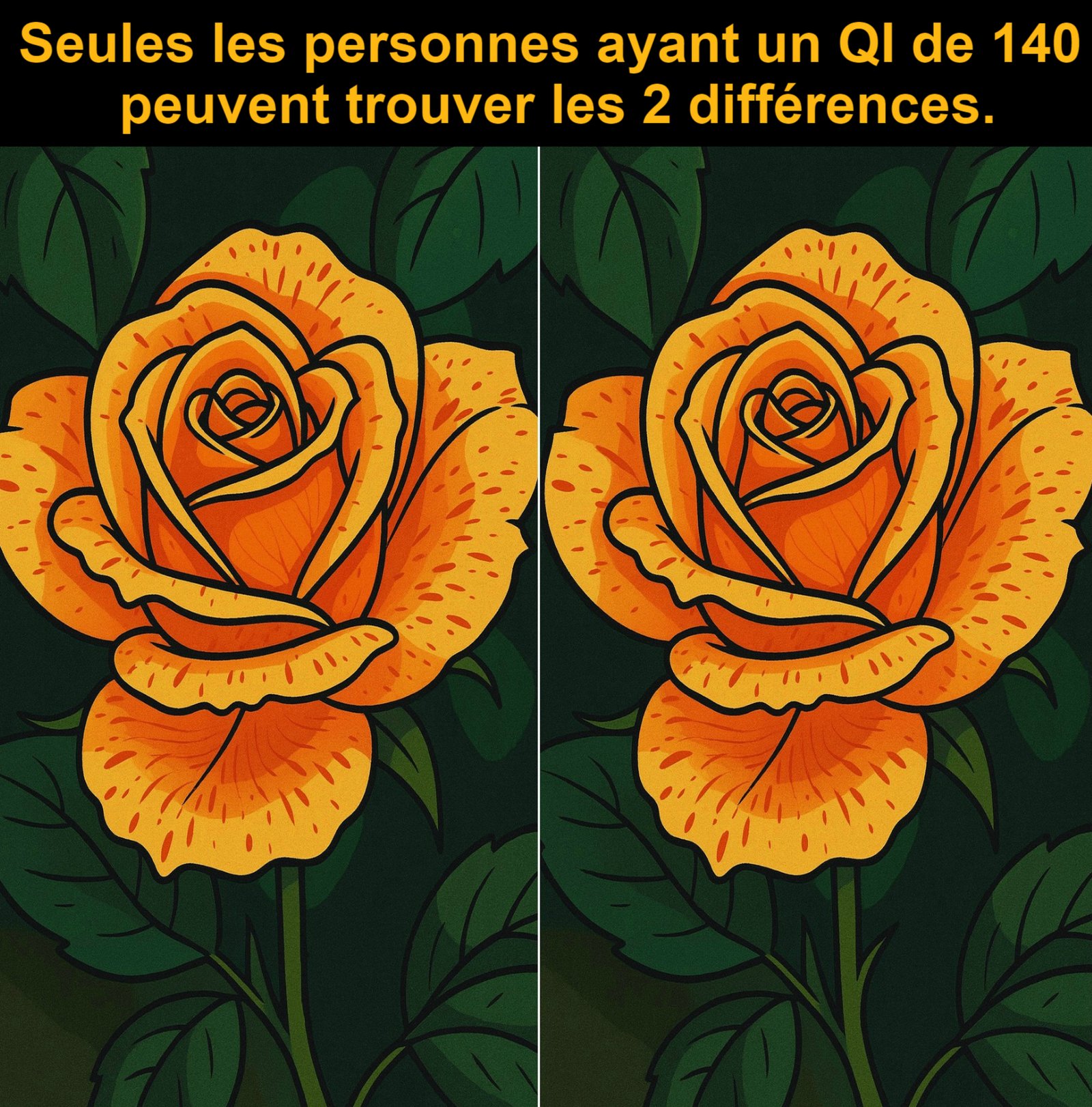 Seules les personnes ayant un QI de 140 peuvent trouver les 2 différences.