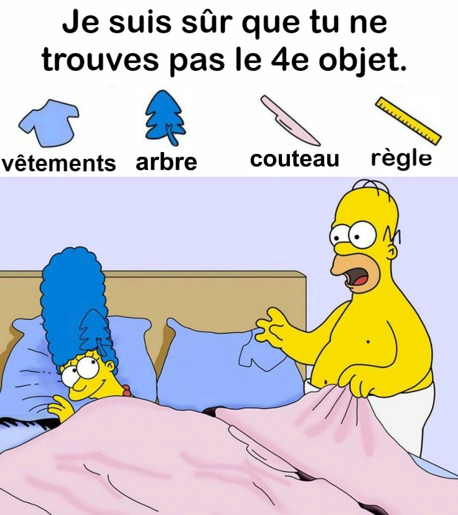 Trouvez des vêtements, un arbre, un couteau et une règle.