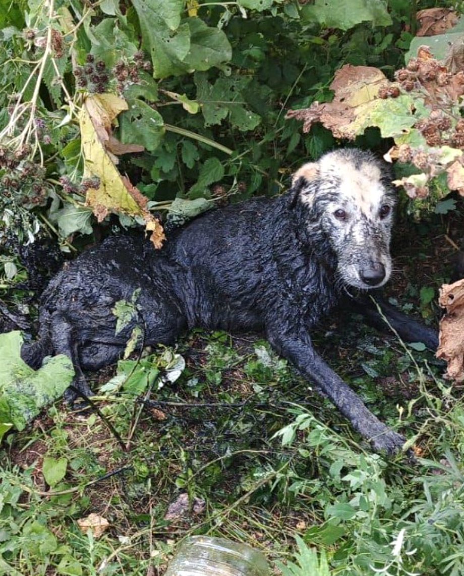 Certaines images restent gravées dans votre mémoire pour toujours.