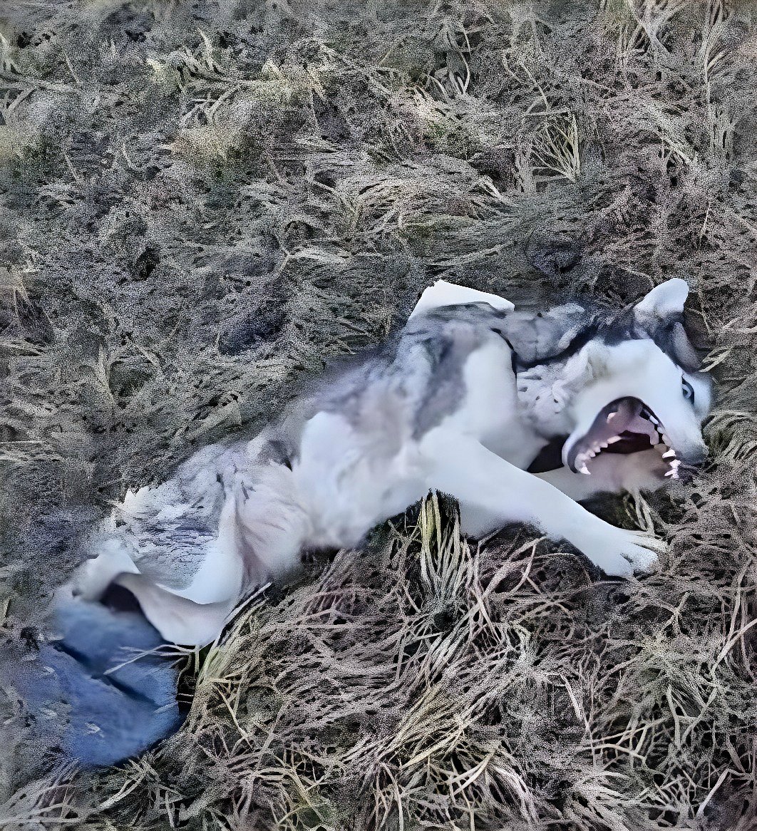 Maya : du désespoir des rails à un foyer où elle est aimée — Une histoire de guérison et d’espoir Maya : du désespoir des rails à un foyer où elle est aimée — Une histoire de guérison et d’espoir