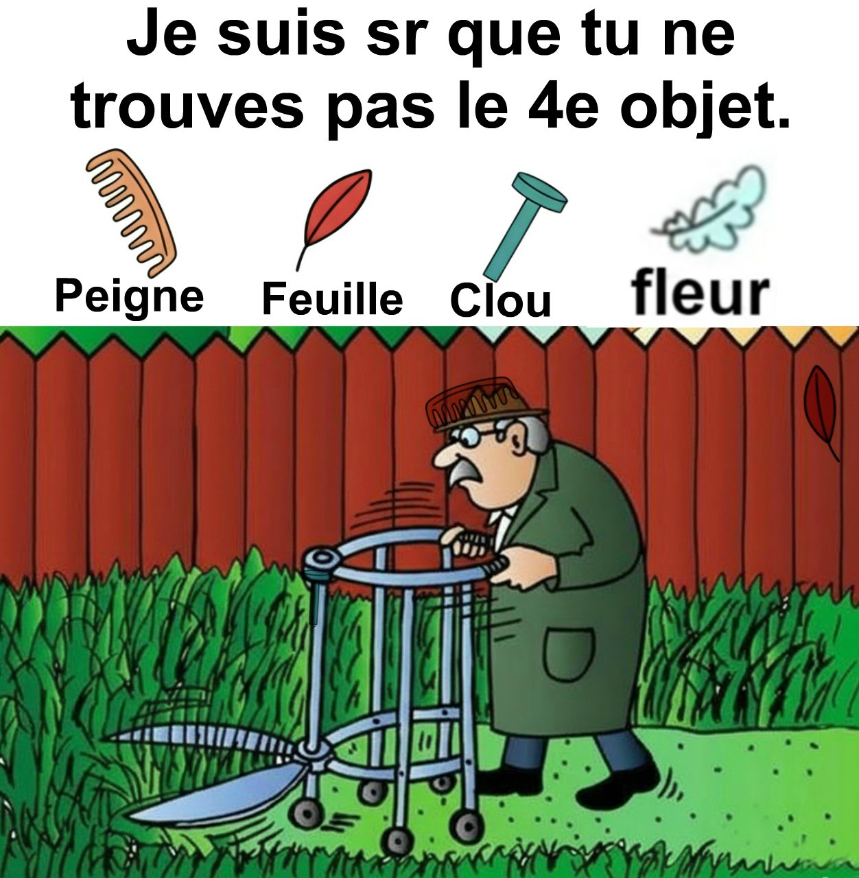 Trouvez peigne, feuille, clou et fleur. Trouvez peigne, feuille, clou et fleur.