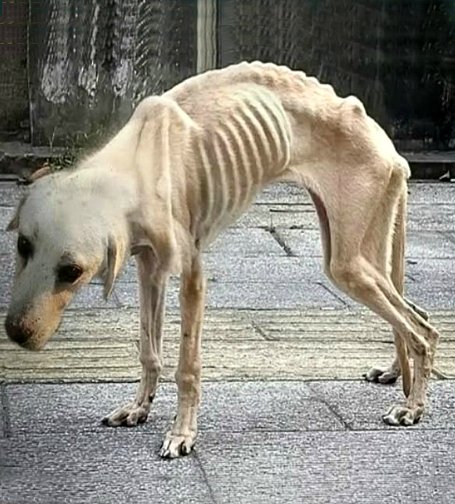 Elle semblait se dissoudre dans le paysage urbain gris, se fondant dans l’arrière-plan