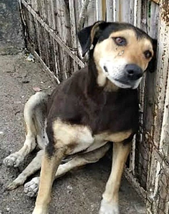 J’ai arrêté de compter les jours. Quand ils se ressemblent, quand ils commencent et finissent tous pareils, les chiffres perdent leur sens.