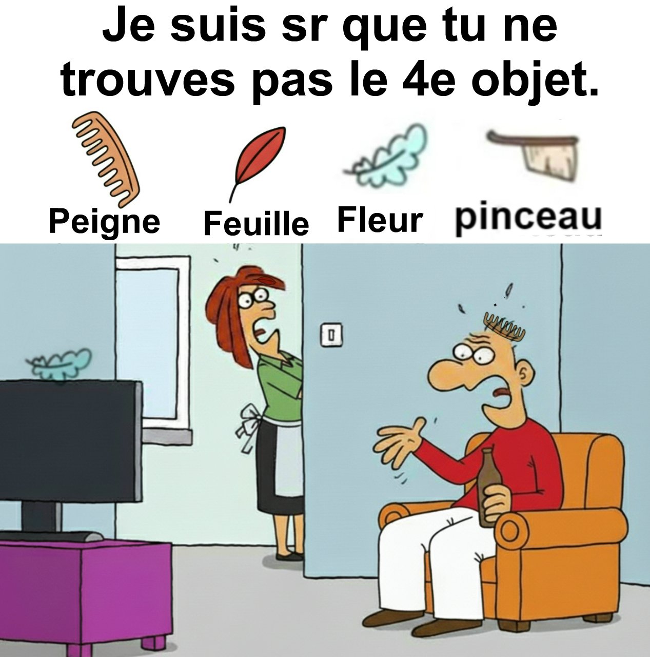 Trouvez peigne, feuille, fleur, pinceau.