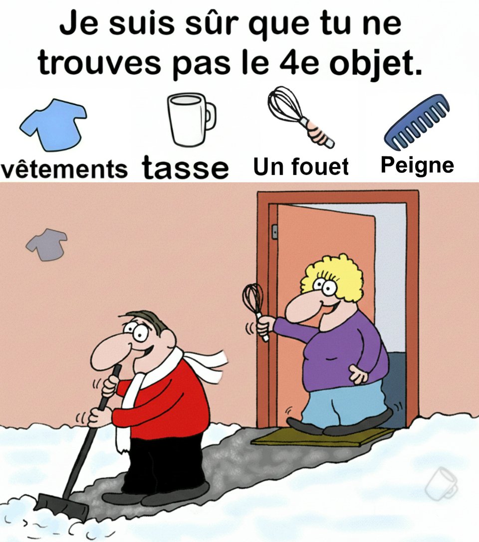 Trouvez vêtements, tasse, un fouet, peigne.
