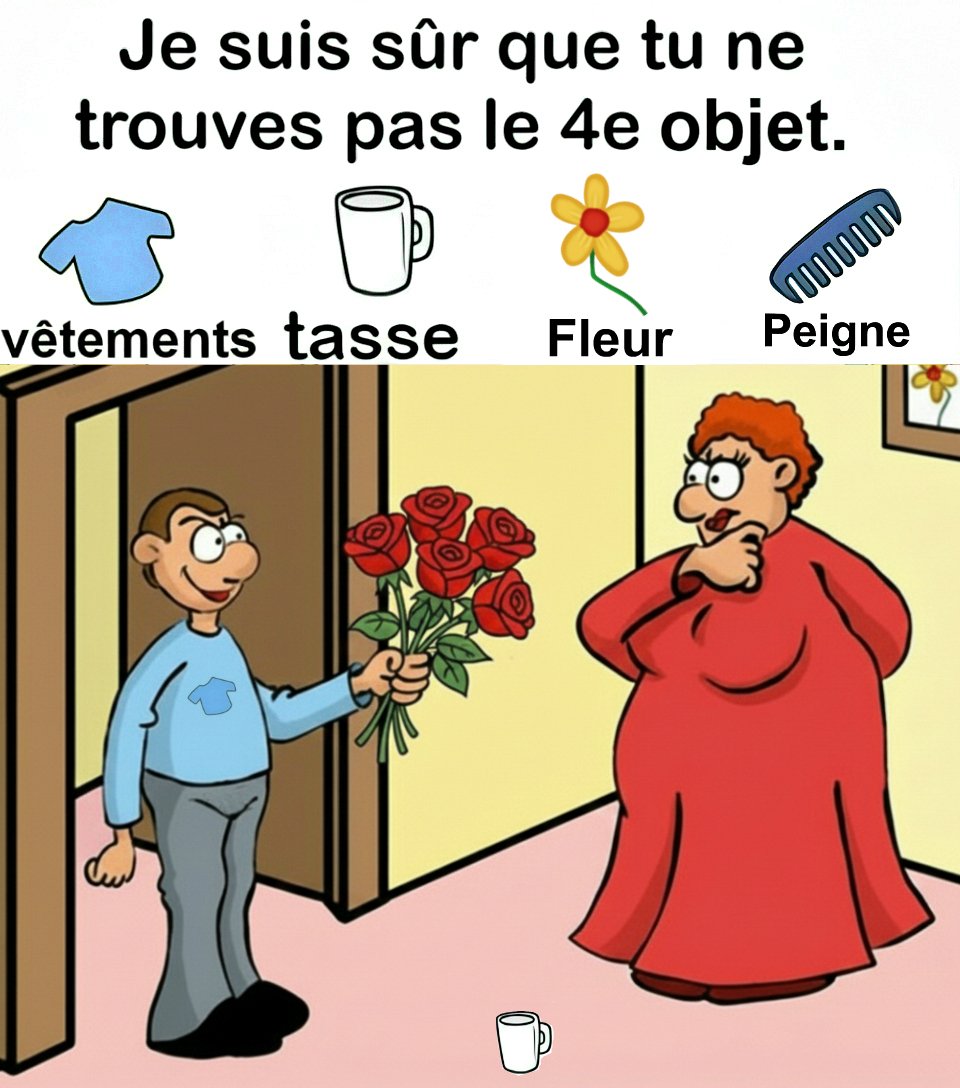 Trouvez vêtements, tasse, fleur, peigne.