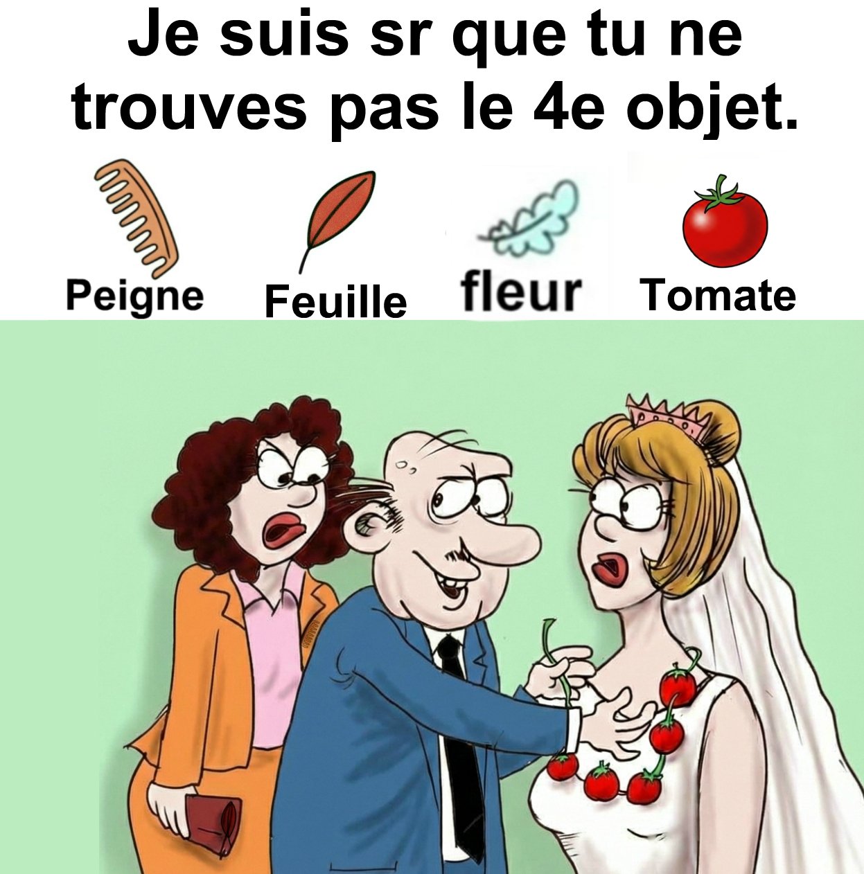 Trouvez peigne, feuille, fleur et tomate.