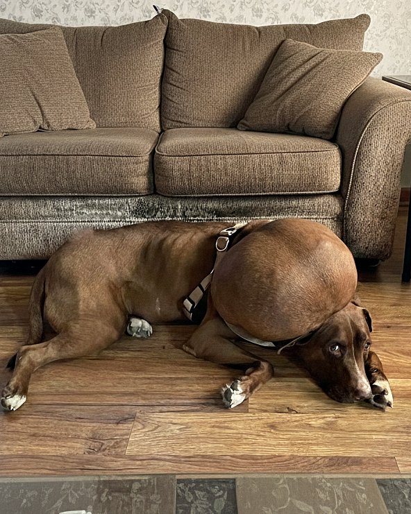 Elle a end∪ré toute sa vie une t∪meur de la taille d’une pastèque au cou ; ce qu’elle a vécu était un véritable cauch℮mar.